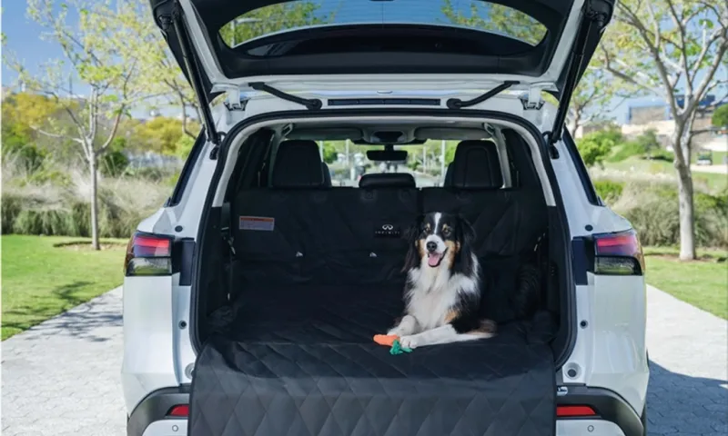 Everything You Need for a Pet-Friendly Road Trip: Nissan Dog Pack